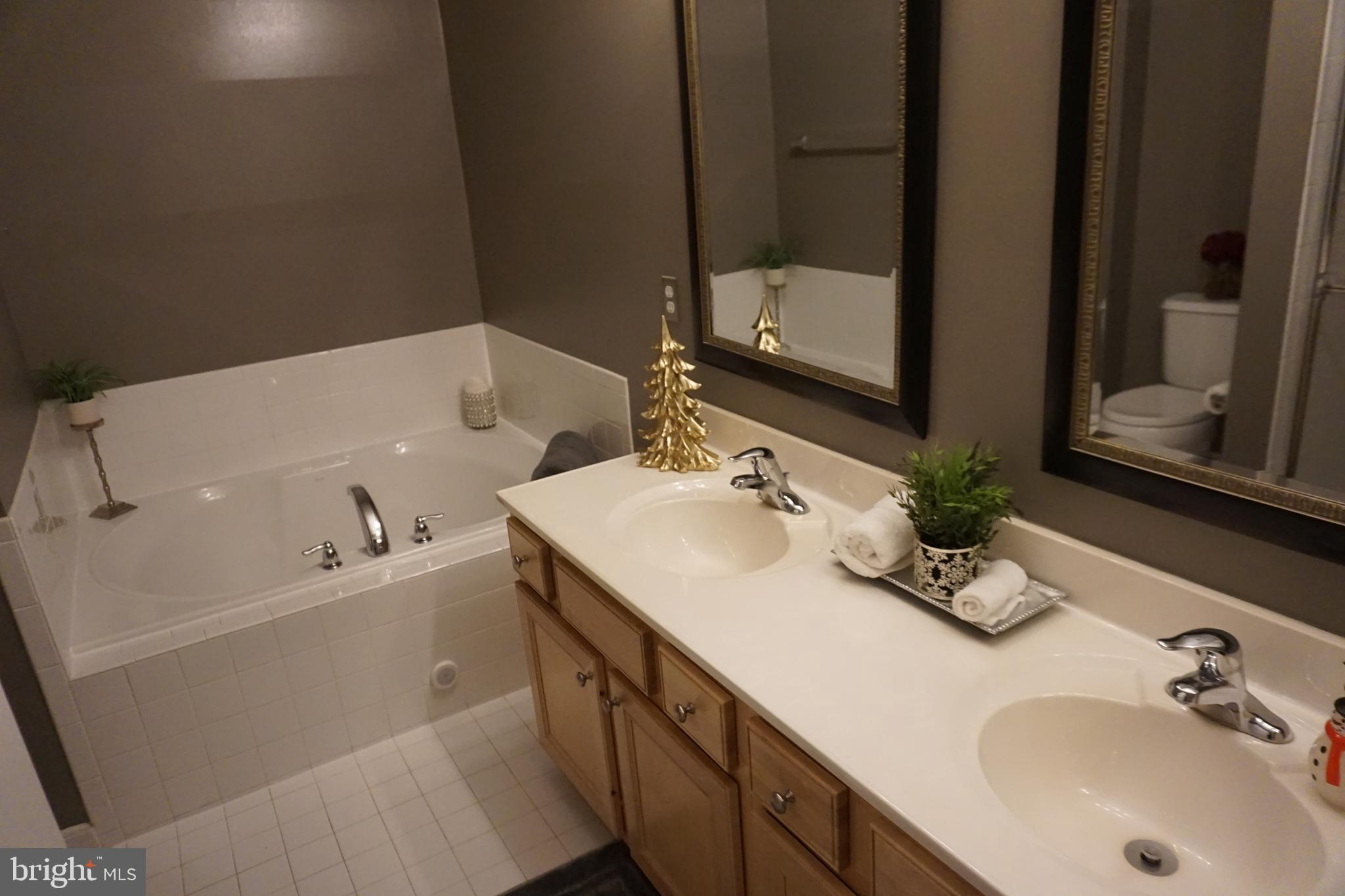 1670 Mohegan Drive, Unit A Havre de Grace, MD 21078 - Photo 43 of 44 Primary Bath