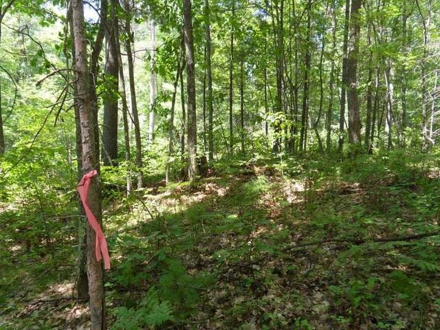 0 West Lake George Road, Unit LOTS 1 & 2 Rhinelander, WI 54501 - Photo 8 of 10 Gallery Image 8