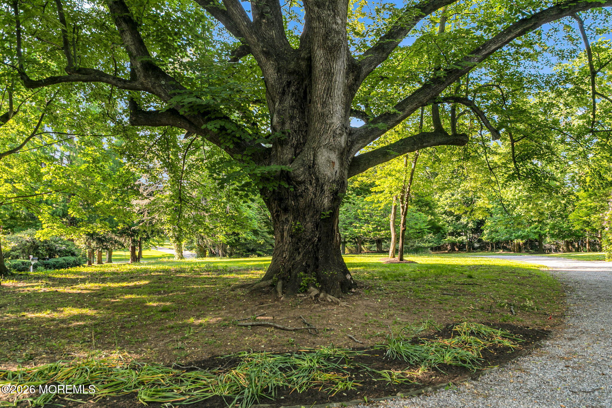 83 Ridge Road Rumson, NJ 07760 - Photo 49 of 61 83 Ridge Road