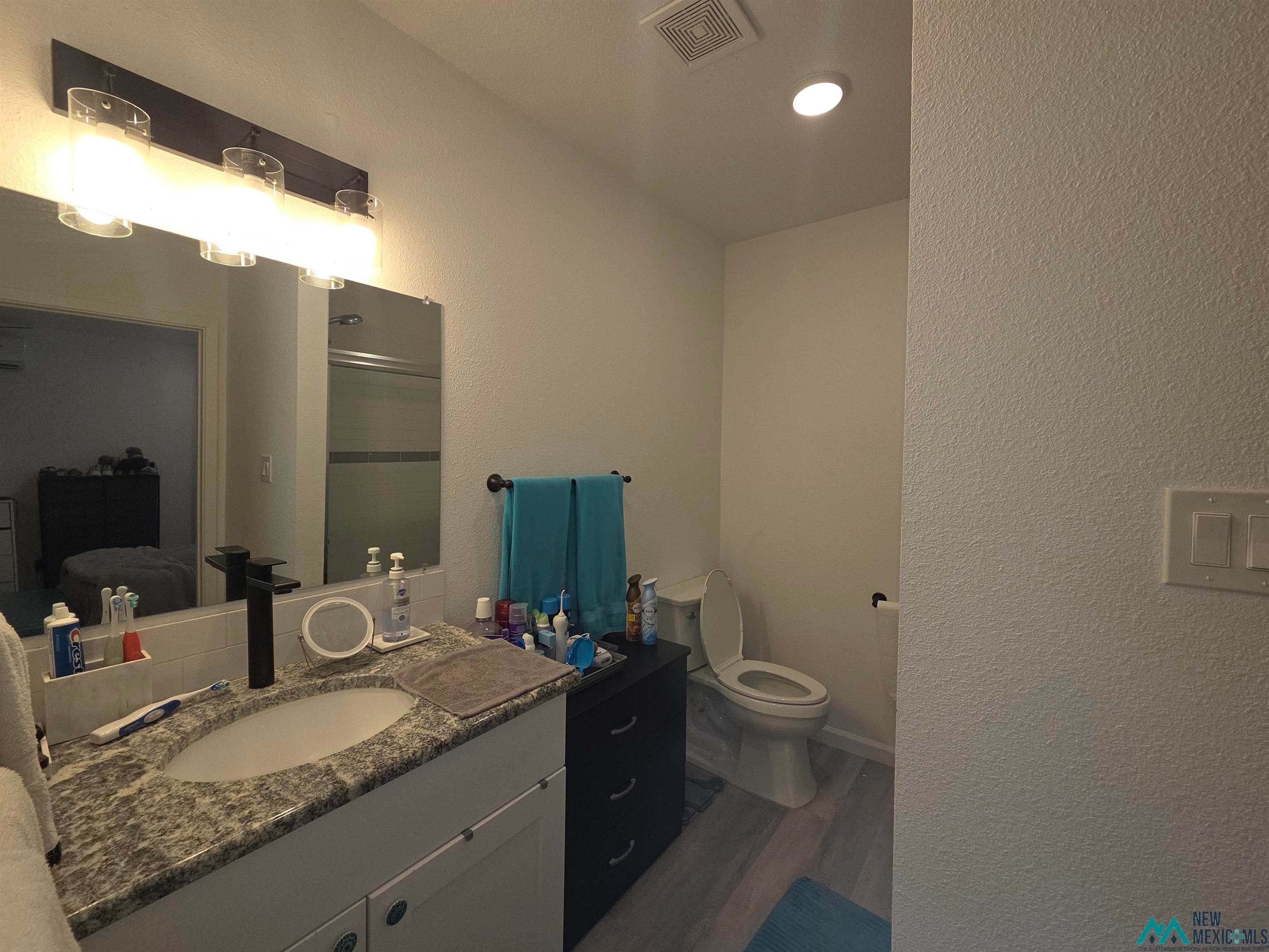 407 Bass Road Elephant Butte, NM 87935 - Photo 38 of 54 Full bathroom featuring a textured wall, vanity, connected bathroom, and dark wood finished floors
