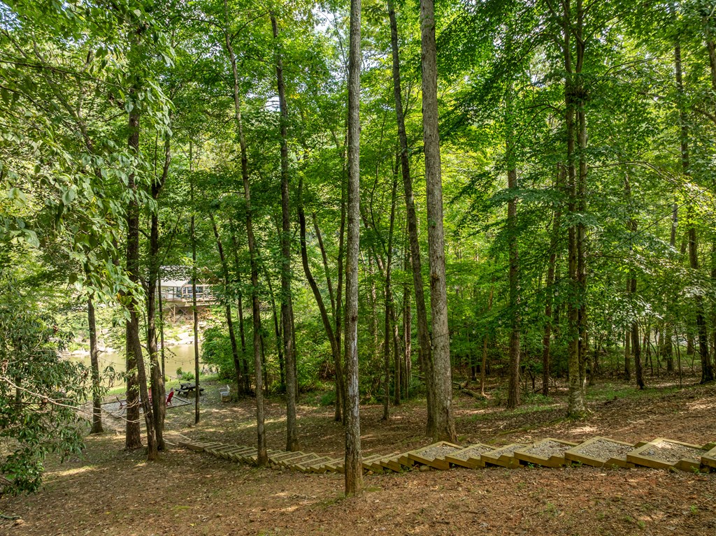 93 Amy Lane Ellijay, GA 30540 - Photo 25 of 61 a view of outdoor space with trees