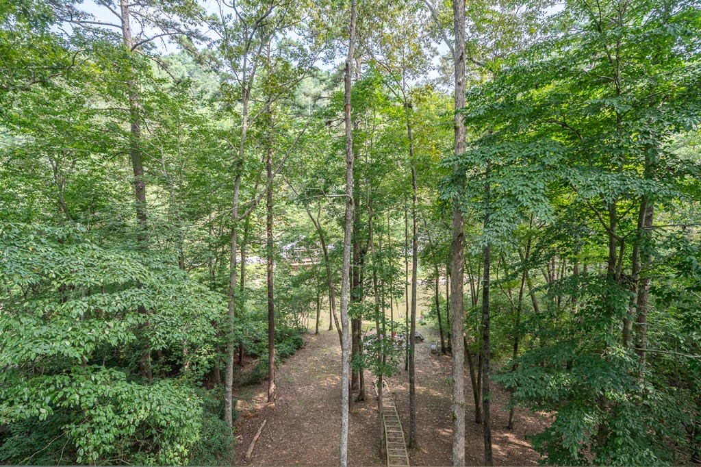 93 Amy Lane Ellijay, GA 30540 - Photo 36 of 61 a view of outdoor space and trees