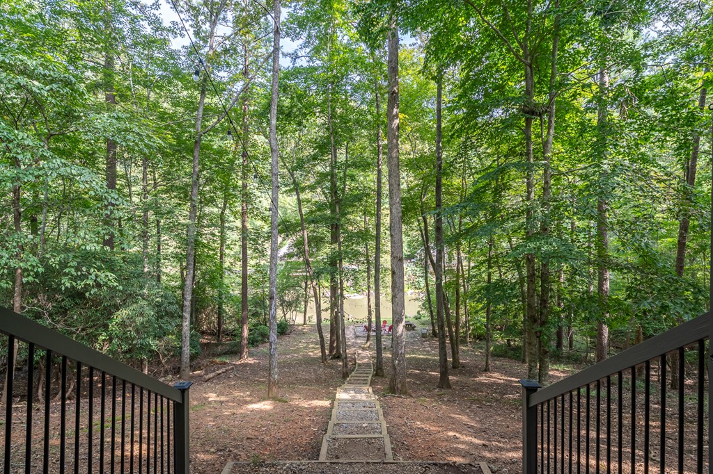 93 Amy Lane Ellijay, GA 30540 - Photo 8 of 61 a view of a yard with plants and trees