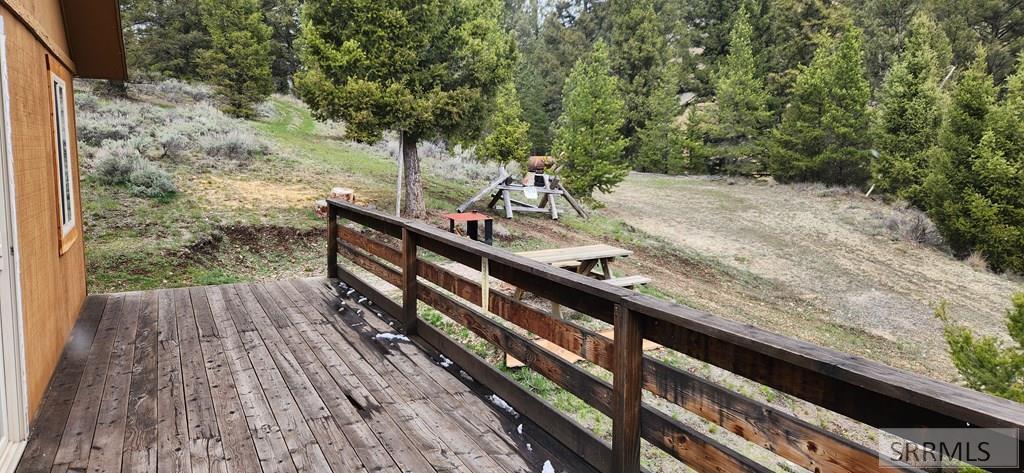 34 Grizzly Bear Road Challis, ID 83226 - Photo 2 of 26