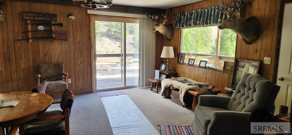 34 Grizzly Bear Road Challis, ID 83226 - Photo 24 of 26