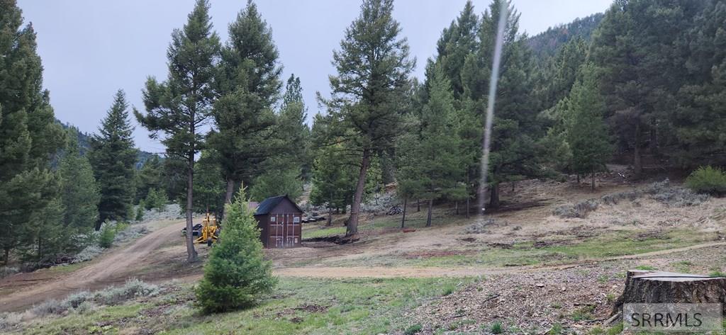 34 Grizzly Bear Road Challis, ID 83226 - Photo 6 of 26
