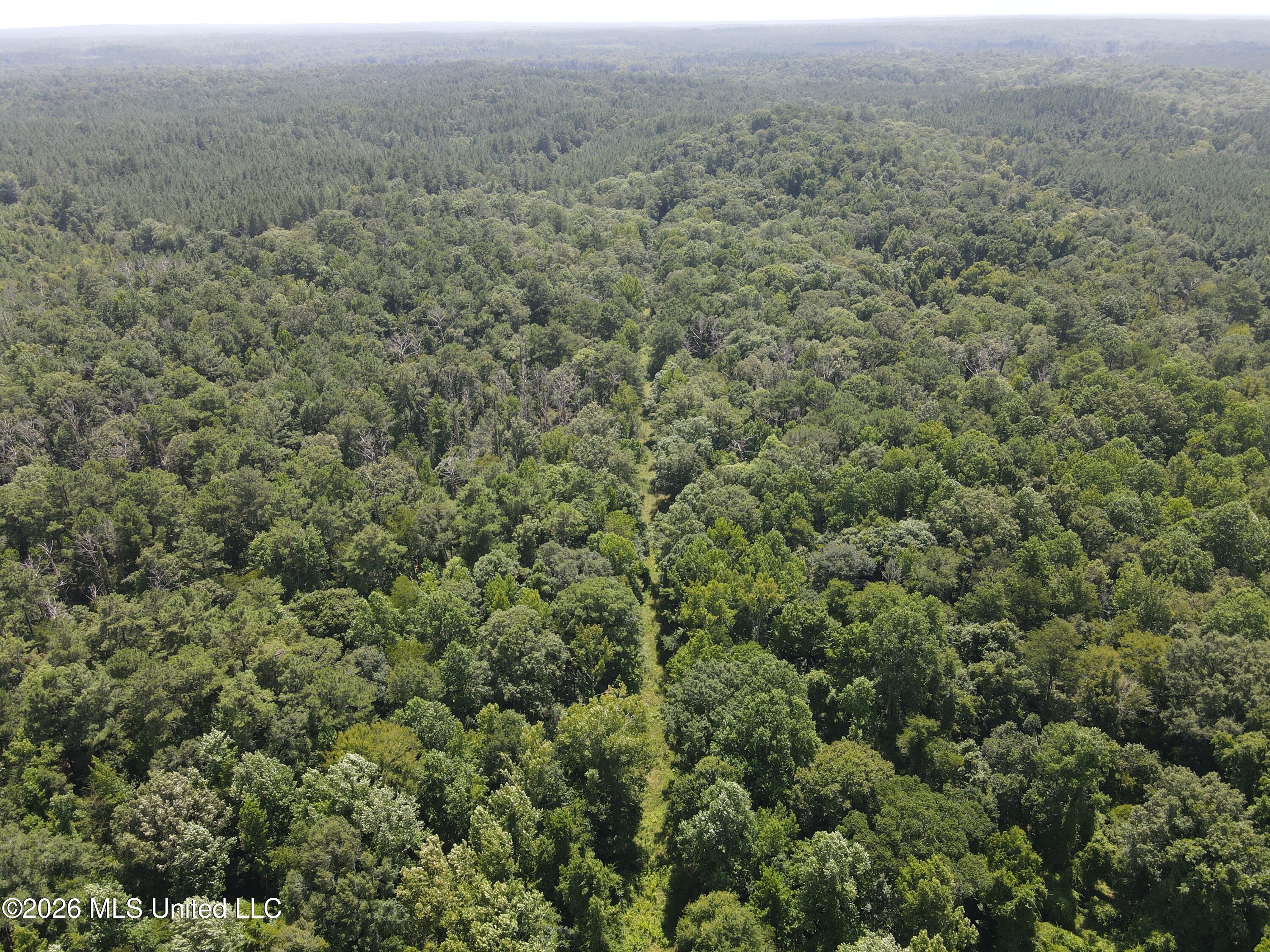 Oldenburg Road Roxie, MS 39661 - Photo 68 of 87 38093