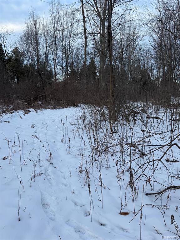 0 Armstrong Road Howell, MI 48855 - Photo 10 of 12 Gallery Image 10