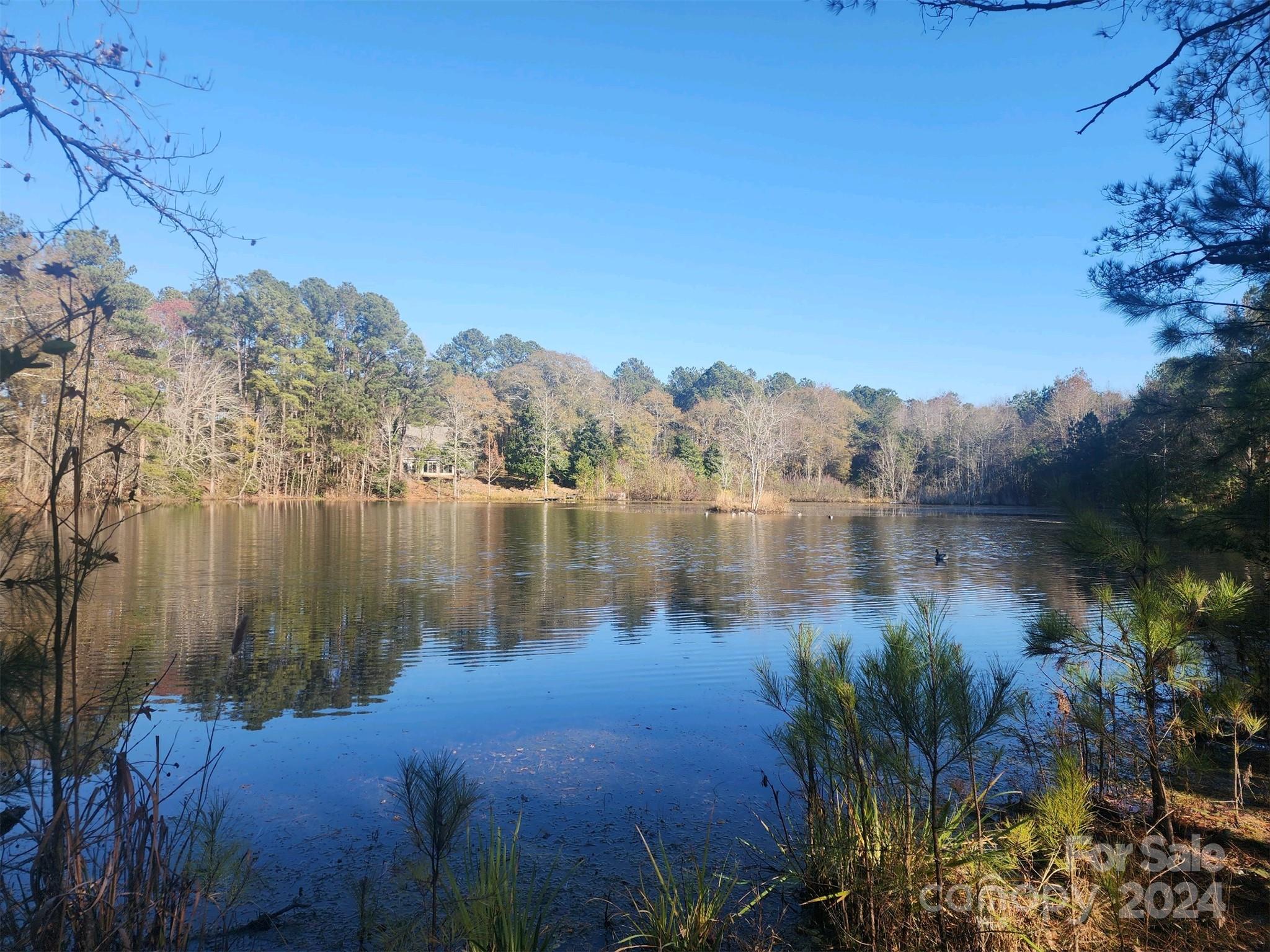 4108 Johnson Road Jefferson, SC 29718 - Photo 1 of 39 a view of lake with green space