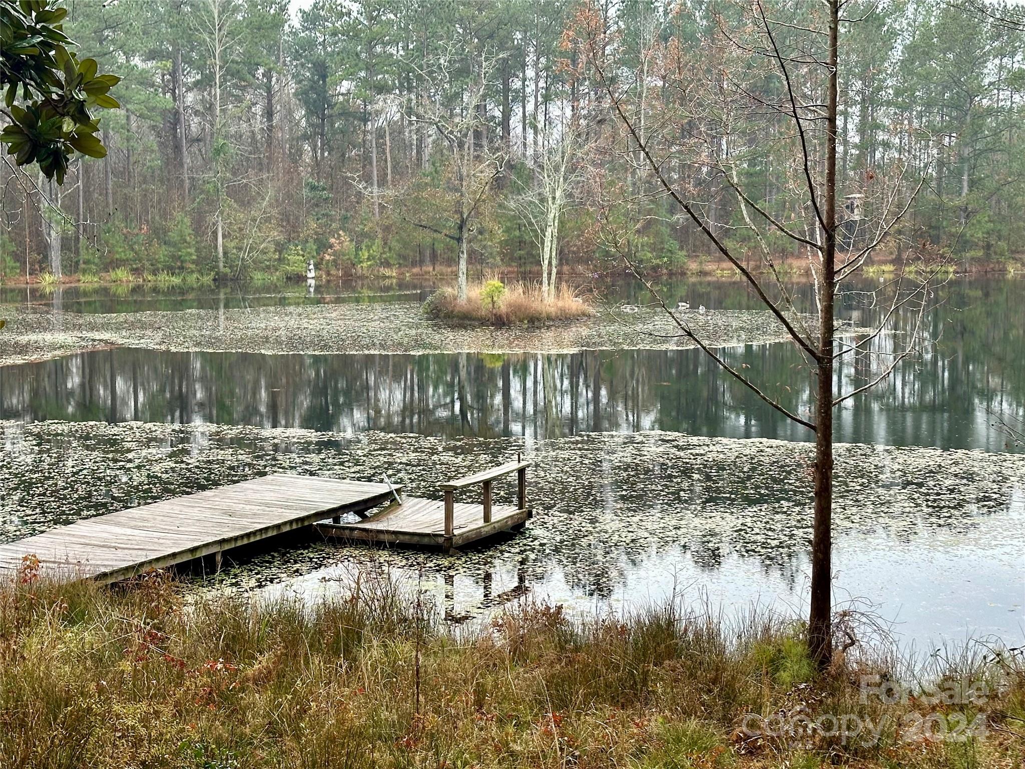 4108 Johnson Road Jefferson, SC 29718 - Photo 3 of 39 a view of boat floating on water