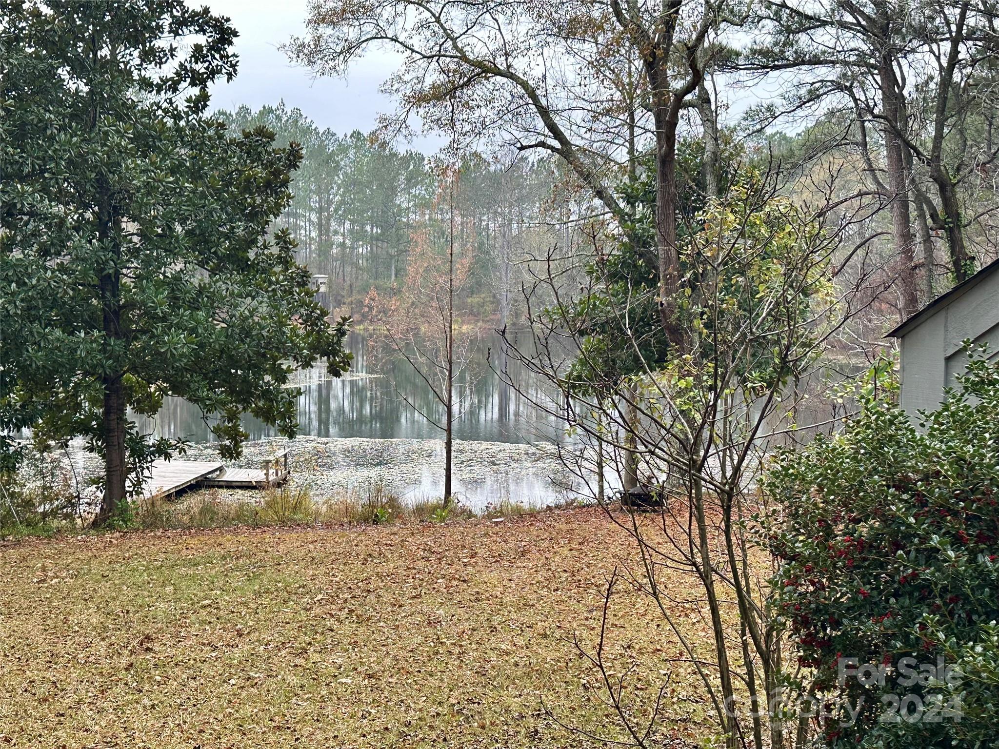 4108 Johnson Road Jefferson, SC 29718 - Photo 32 of 39 a backyard of a house with a trees
