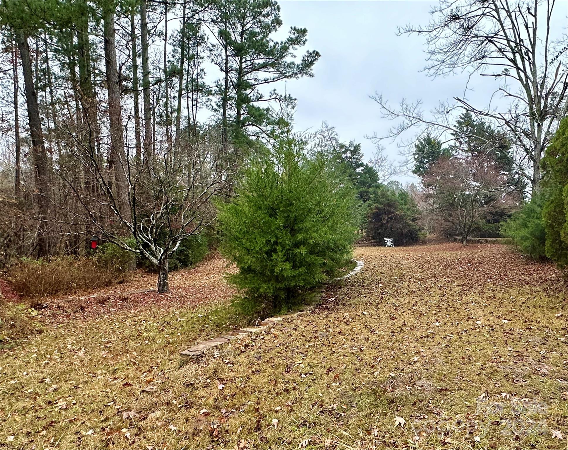 4108 Johnson Road Jefferson, SC 29718 - Photo 34 of 39 a view of a yard with plants and trees