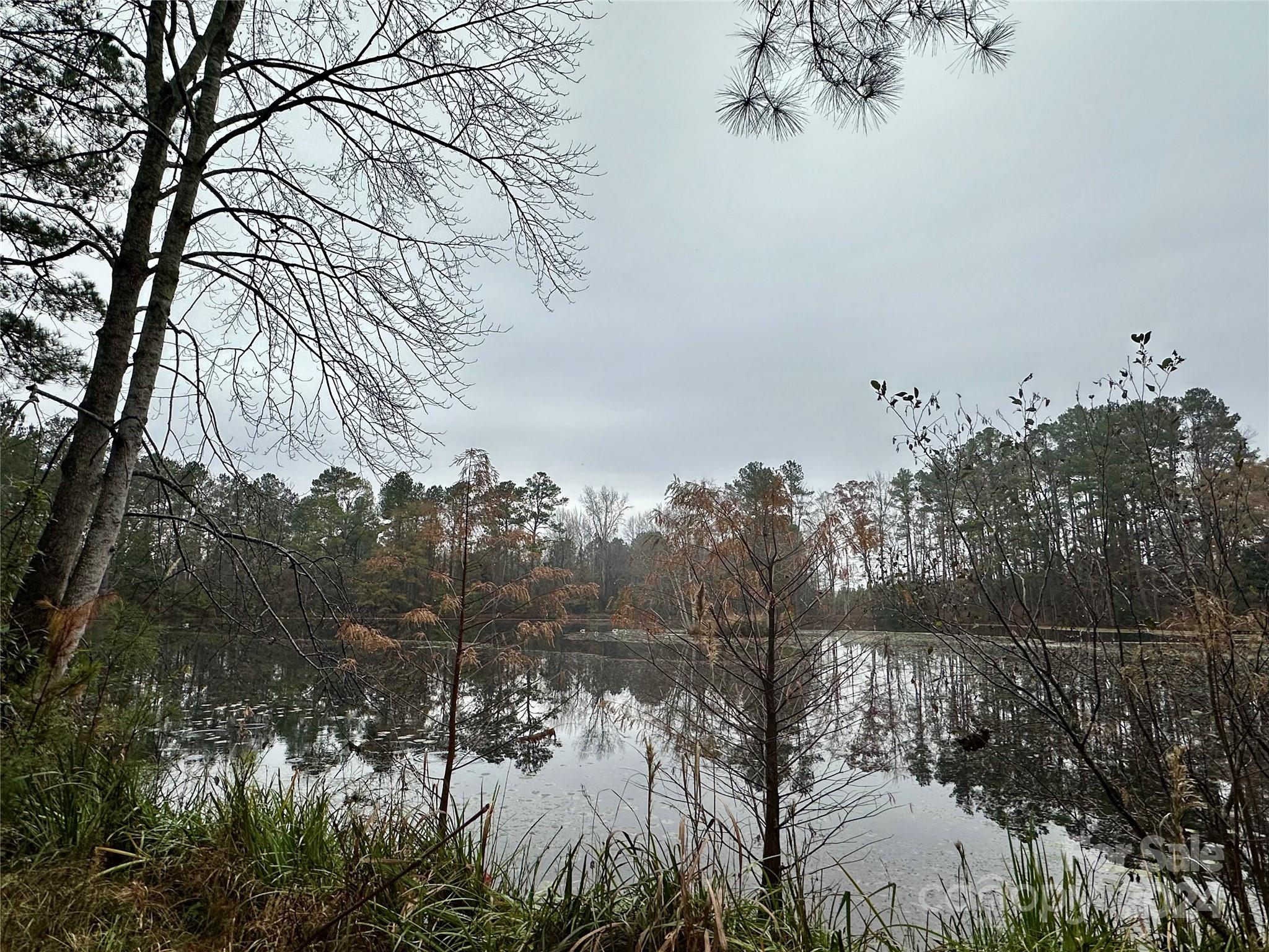 4108 Johnson Road Jefferson, SC 29718 - Photo 36 of 39 a view of a lake with lots of trees
