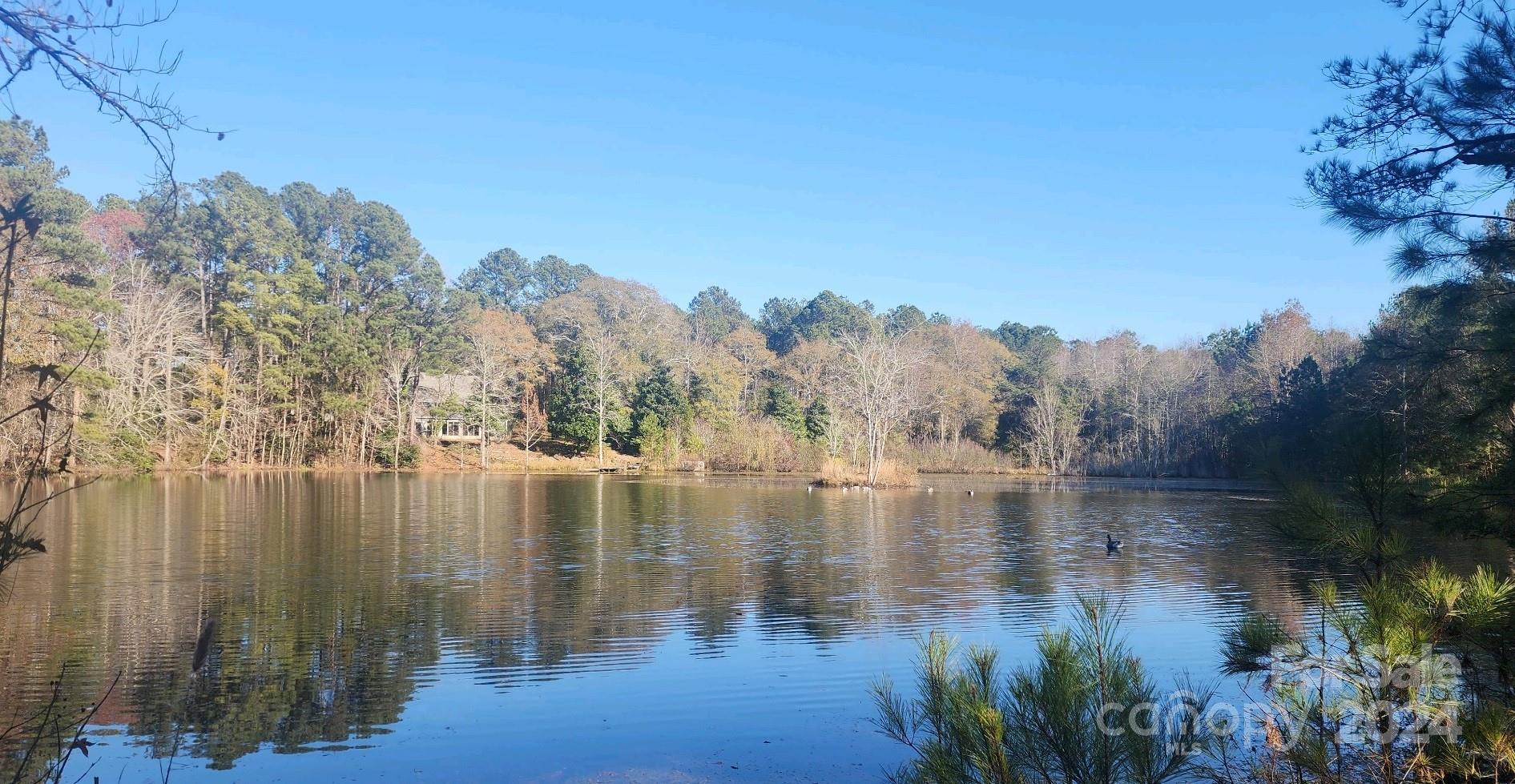 4108 Johnson Road Jefferson, SC 29718 - Photo 39 of 39 a view of river covered by trees and buildings