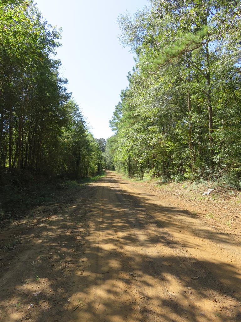 0 An County Road Palestine, TX 75801 - Photo 13 of 18