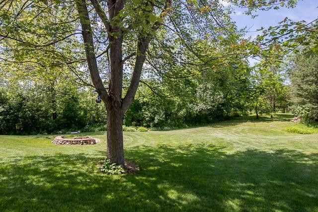 1580 Pierce Road Chelsea, MI 48118 - Photo 28 of 30 Yard