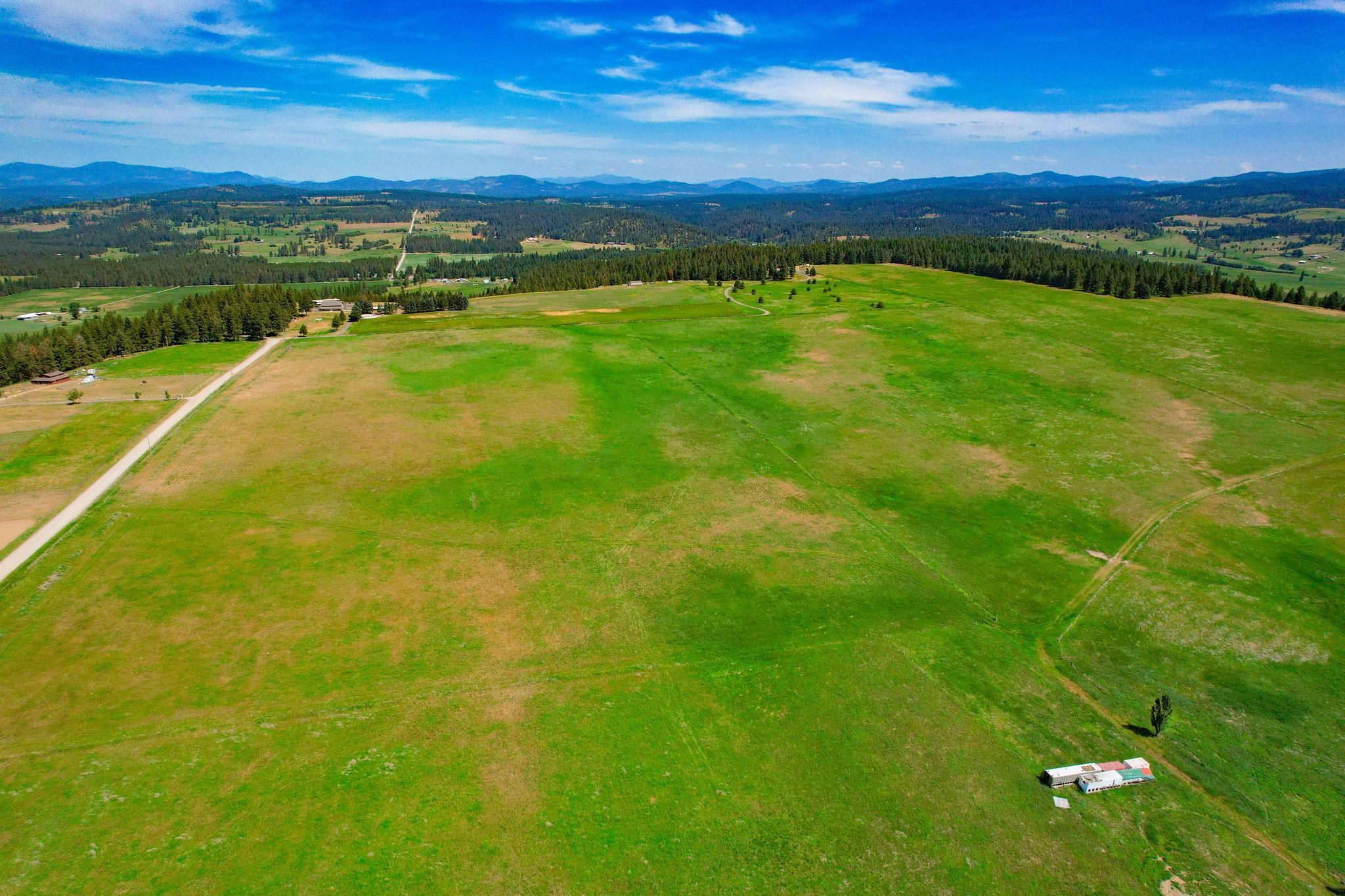 Lot 3 North Orchard Bluff Road Chattaroy, WA 99003 - Photo 4 of 17 Gallery Image 4
