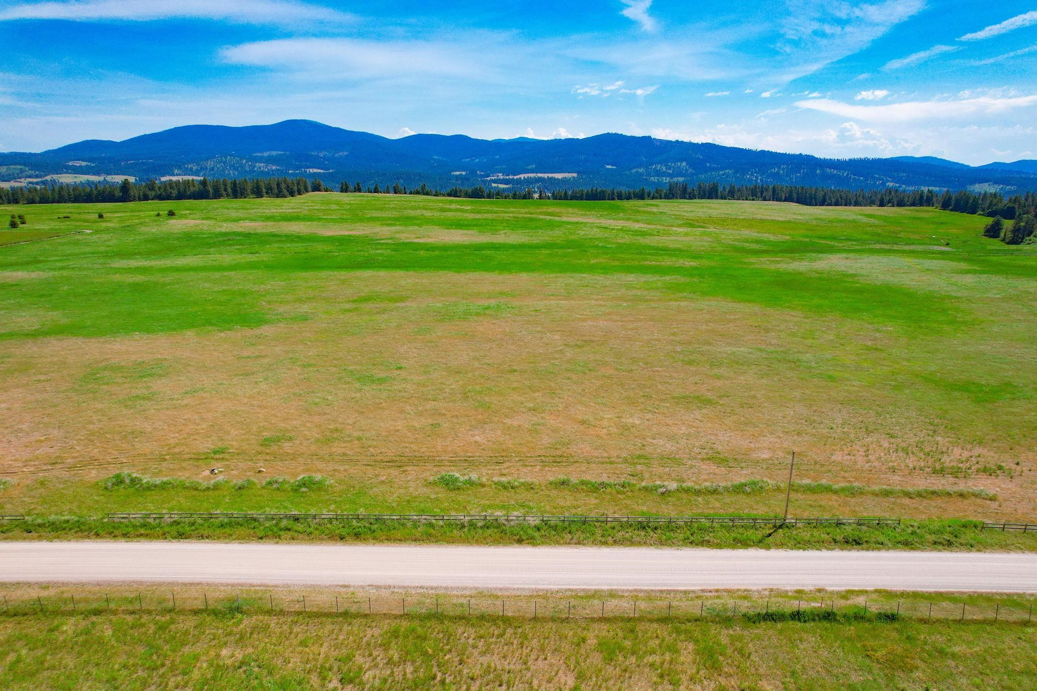 Lot 3 North Orchard Bluff Road Chattaroy, WA 99003 - Photo 8 of 17 Gallery Image 8