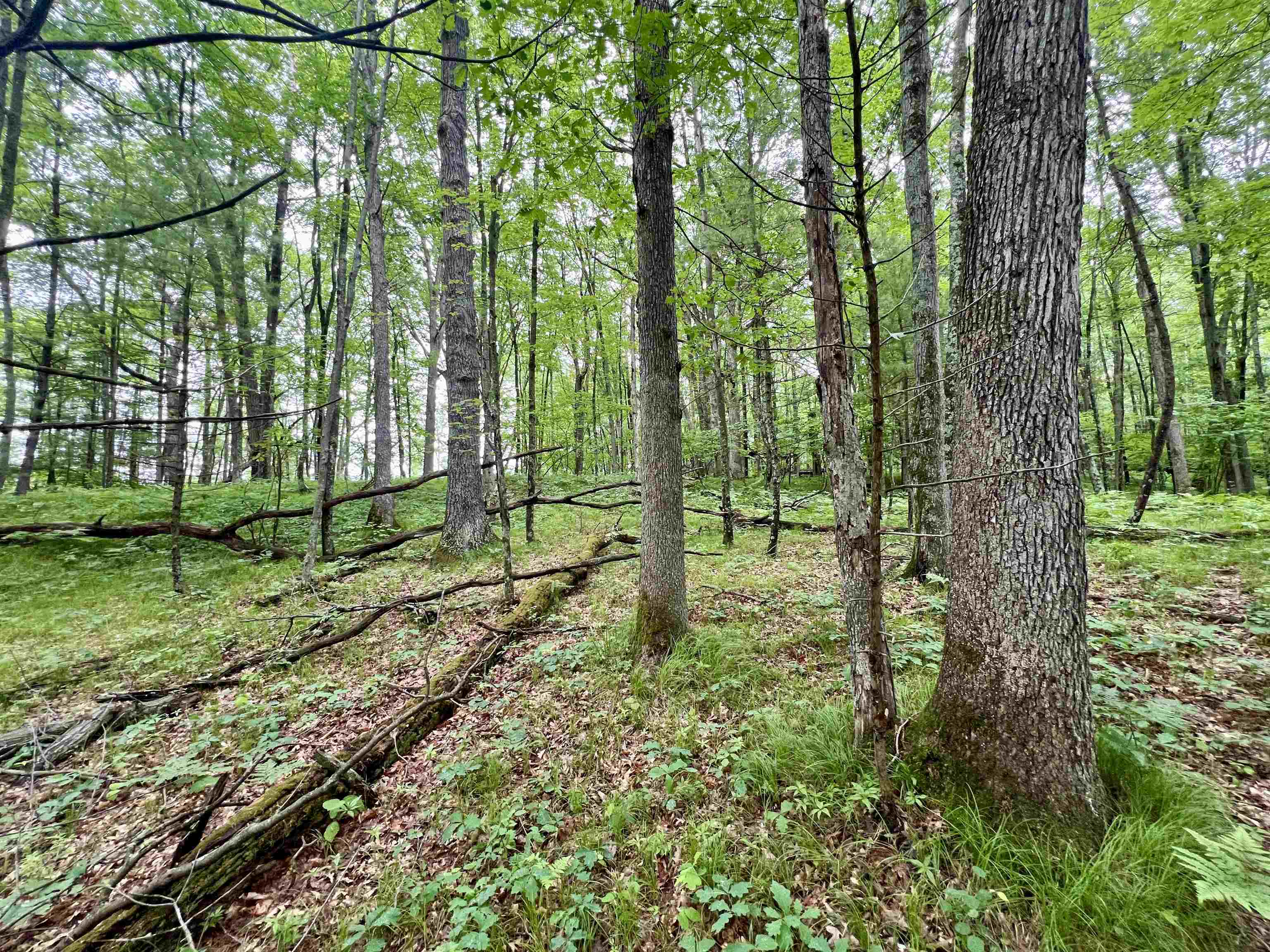 County P Road, Unit 1 Pound, WI 54161 - Photo 16 of 16