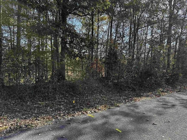 $20,000 | 0 Deerfield Loop, Henderson, TN 38340