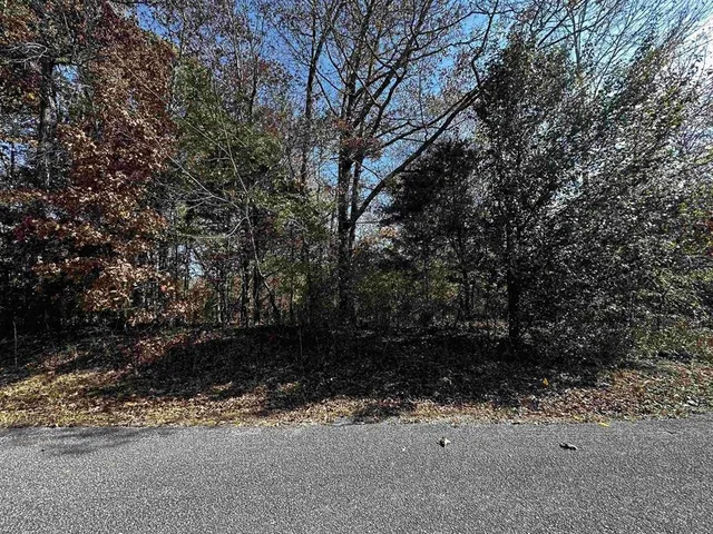 $20,000 | 0 Deerfield Loop, Henderson, TN 38340