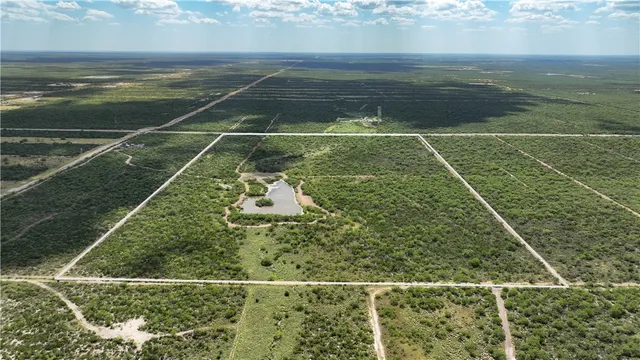 $549,900 | 0 Cameron Ln- 100 Acres, Fowlerton, TX 78021