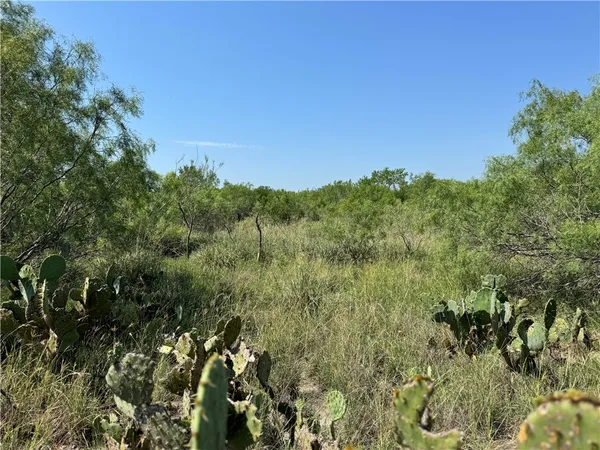 $549,900 | 0 Cameron Ln- 100 Acres, Fowlerton, TX 78021