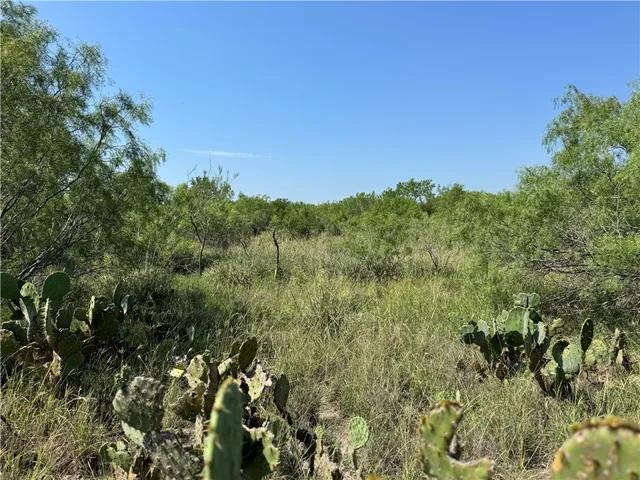 $549,900 | 0 Cameron Ln- 100 Acres, Fowlerton, TX 78021