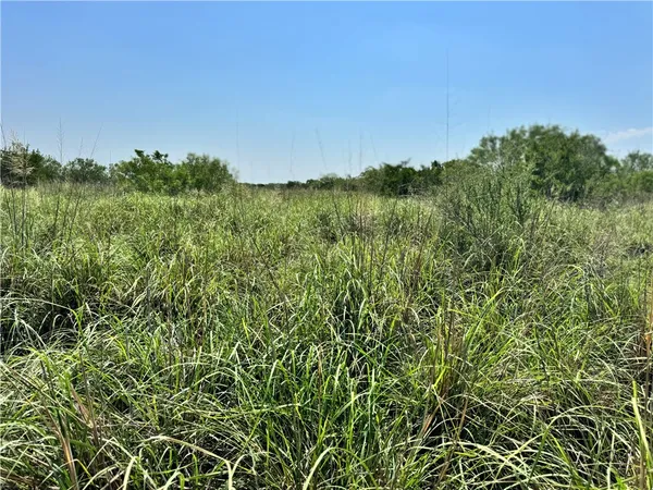 $549,900 | 0 Cameron Ln- 100 Acres, Fowlerton, TX 78021