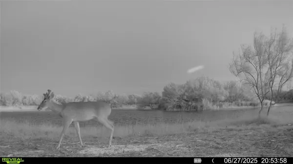 $549,900 | 0 Cameron Ln- 100 Acres, Fowlerton, TX 78021