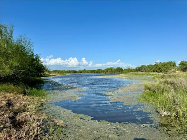 $549,900 | 0 Cameron Ln- 100 Acres, Fowlerton, TX 78021