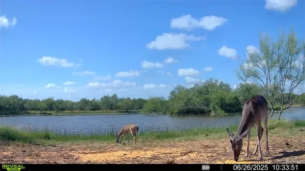 $549,900 | 0 Cameron Ln- 100 Acres, Fowlerton, TX 78021