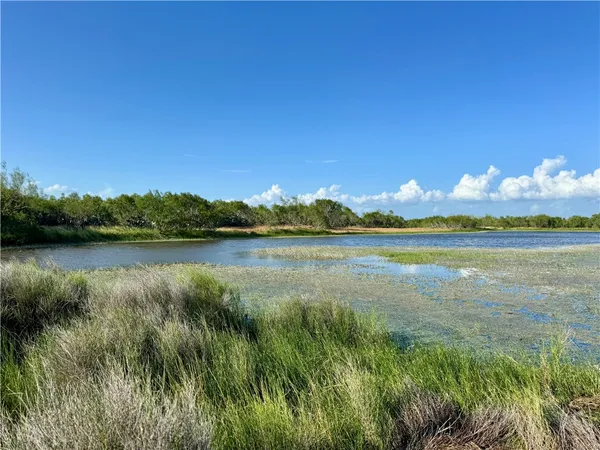 $549,900 | 0 Cameron Ln- 100 Acres, Fowlerton, TX 78021