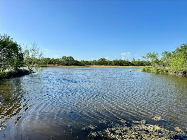 $549,900 | 0 Cameron Ln- 100 Acres, Fowlerton, TX 78021