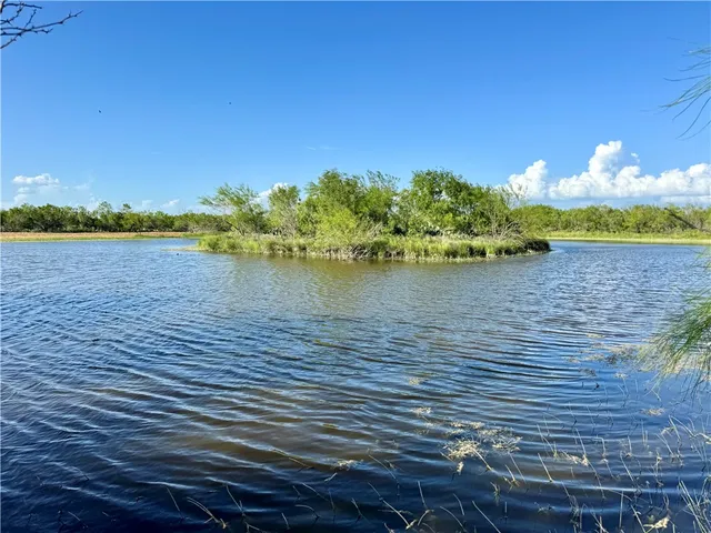 $549,900 | 0 Cameron Ln- 100 Acres, Fowlerton, TX 78021