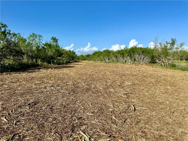 $549,900 | 0 Cameron Ln- 100 Acres, Fowlerton, TX 78021