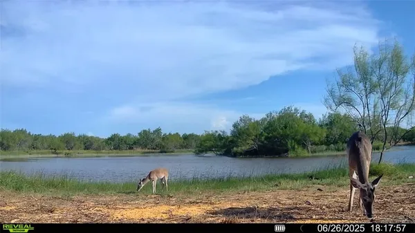 $549,900 | 0 Cameron Ln- 100 Acres, Fowlerton, TX 78021