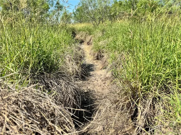 $549,900 | 0 Cameron Ln- 100 Acres, Fowlerton, TX 78021