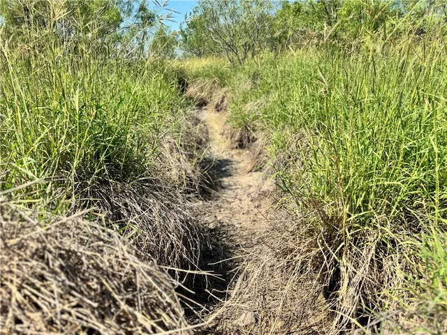 $549,900 | 0 Cameron Ln- 100 Acres, Fowlerton, TX 78021