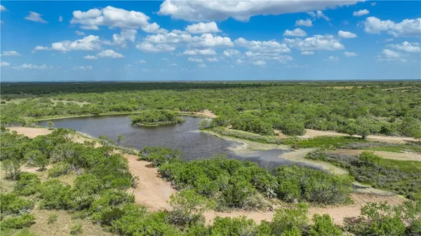 $549,900 | 0 Cameron Ln- 100 Acres, Fowlerton, TX 78021