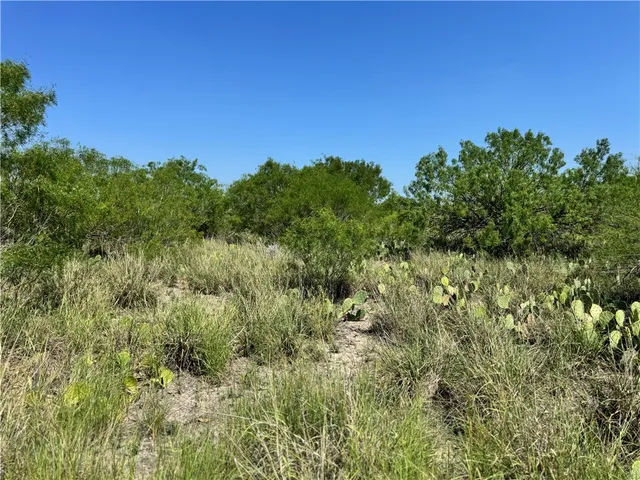 $549,900 | 0 Cameron Ln- 100 Acres, Fowlerton, TX 78021