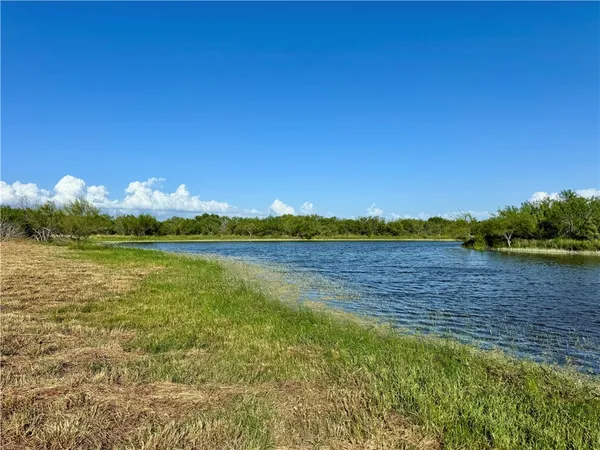 $549,900 | 0 Cameron Ln- 100 Acres, Fowlerton, TX 78021