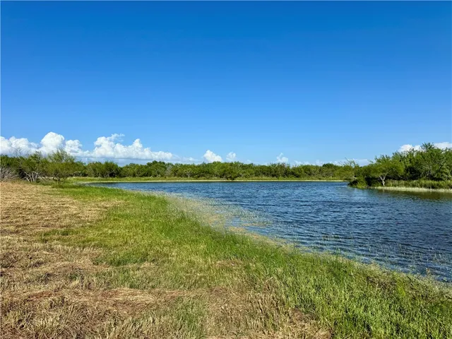 $549,900 | 0 Cameron Ln- 100 Acres, Fowlerton, TX 78021