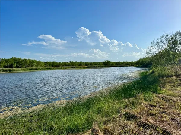 $549,900 | 0 Cameron Ln- 100 Acres, Fowlerton, TX 78021