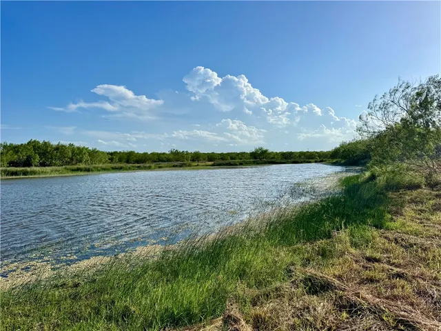 $549,900 | 0 Cameron Ln- 100 Acres, Fowlerton, TX 78021
