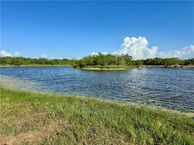 $549,900 | 0 Cameron Ln- 100 Acres, Fowlerton, TX 78021