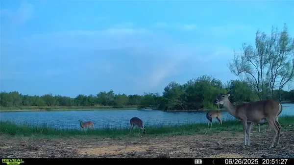 $549,900 | 0 Cameron Ln- 100 Acres, Fowlerton, TX 78021