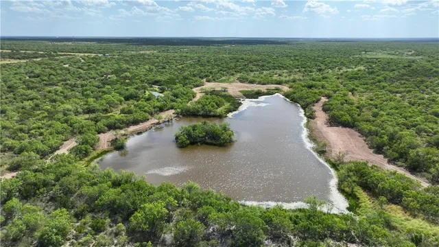 $549,900 | 0 Cameron Ln- 100 Acres, Fowlerton, TX 78021