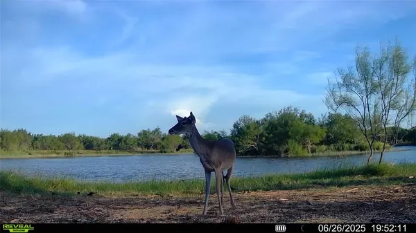 $549,900 | 0 Cameron Ln- 100 Acres, Fowlerton, TX 78021