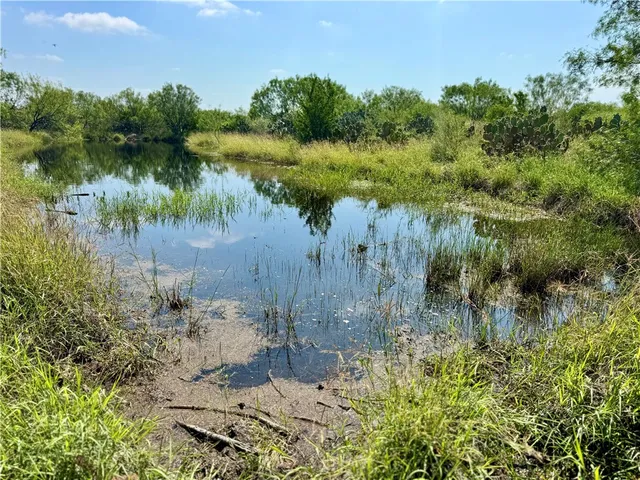 $549,900 | 0 Cameron Ln- 100 Acres, Fowlerton, TX 78021